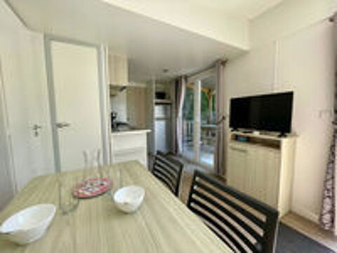  2022 occasion 49300 Cholet