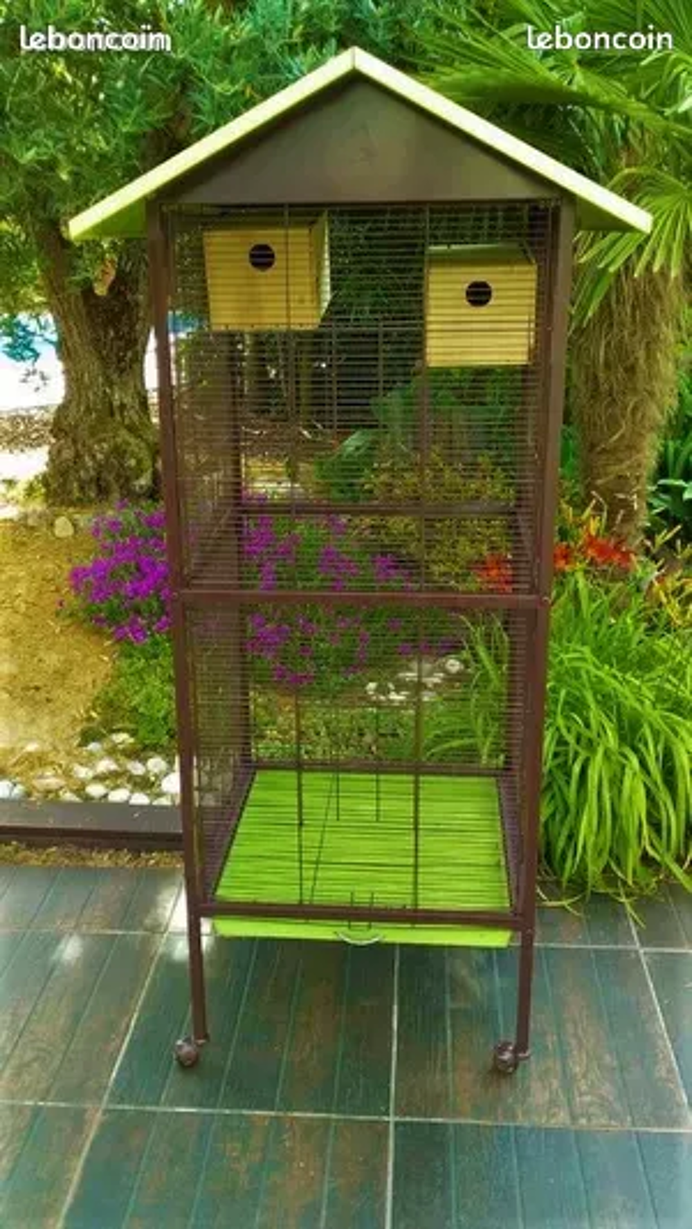   cage  oiseaux avec accessoires 