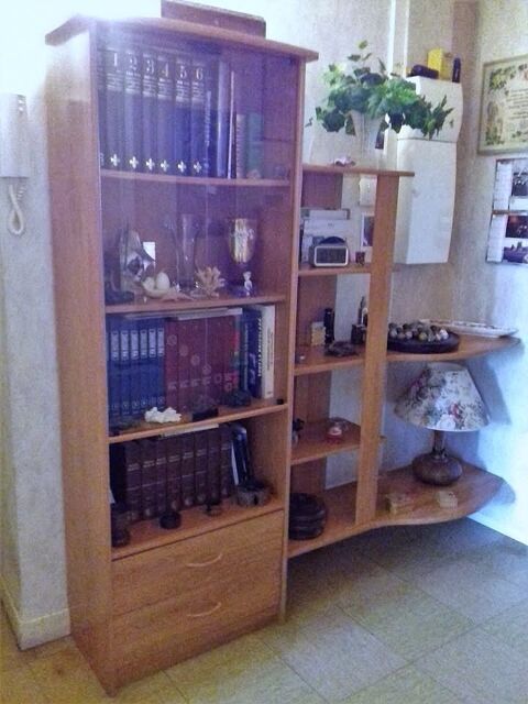 Meuble bibliothèque Carcassonne (11)
