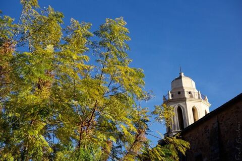 Photographe 0 22700 Saint-quay-perros