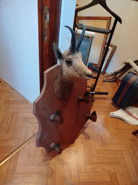 cusson bois , nature morte 150 Grenoble (38)