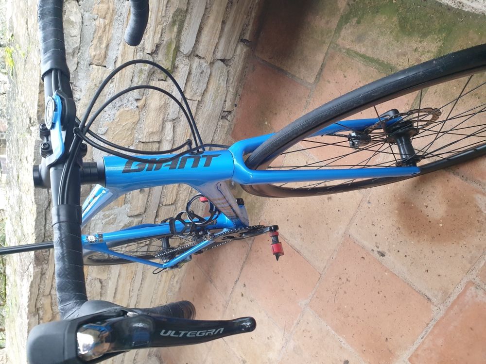 V&Eacute;LO GIANT Vélos