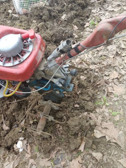 Motobineuse 80 Montbard (21)