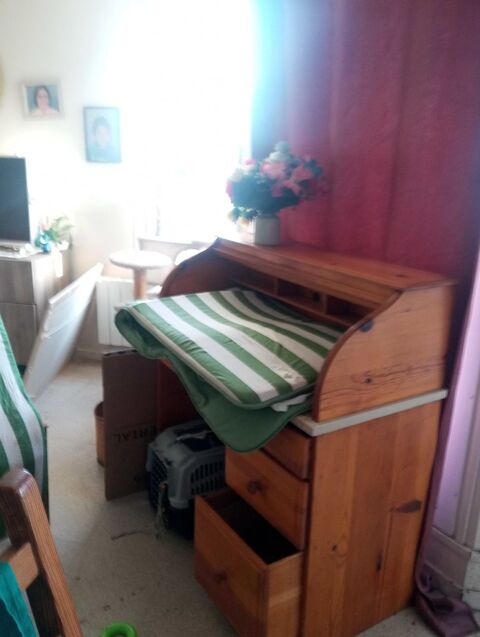 matelas pour chaise longue 30 Guyancourt (78)