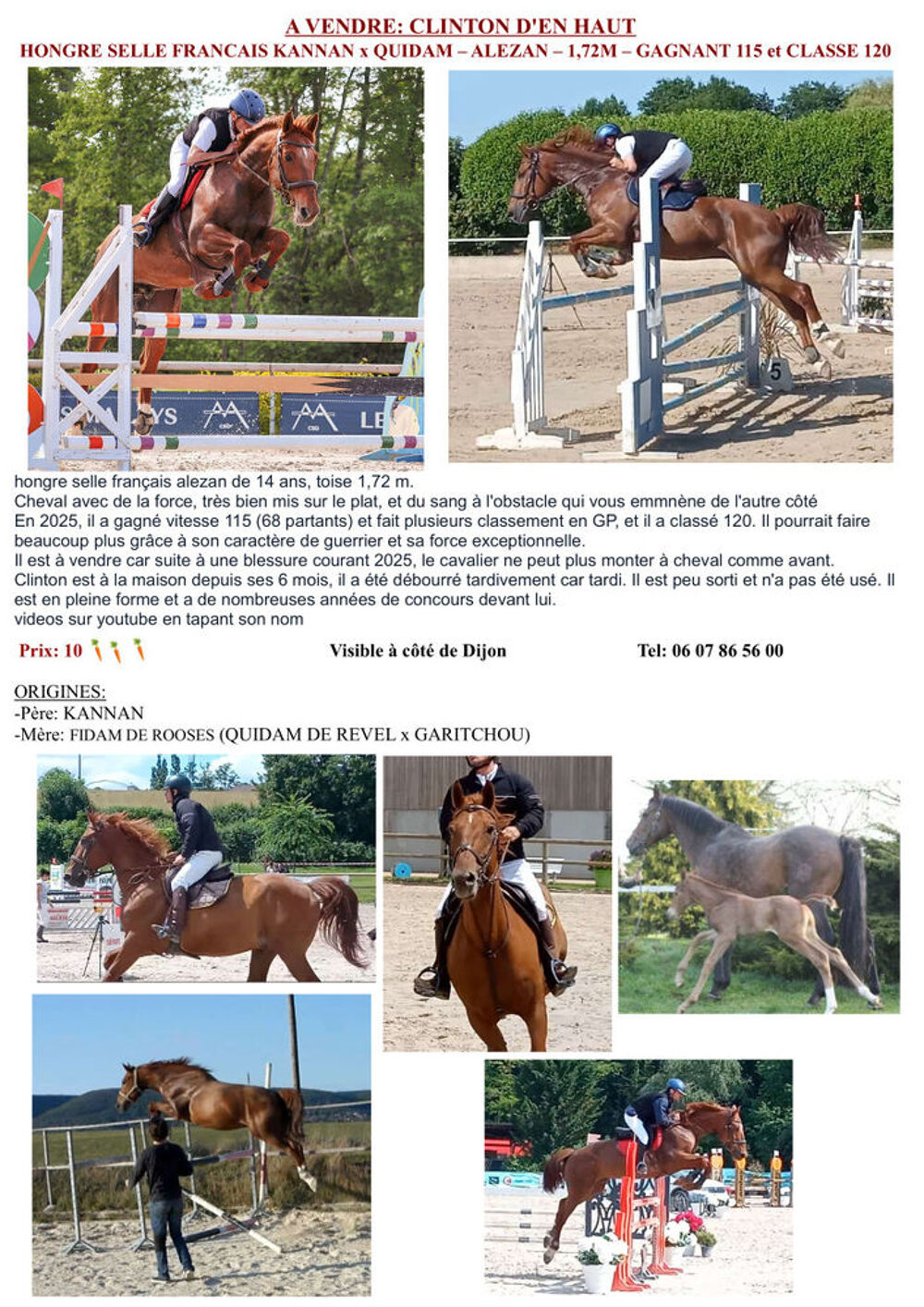   cheval pret gros myens  