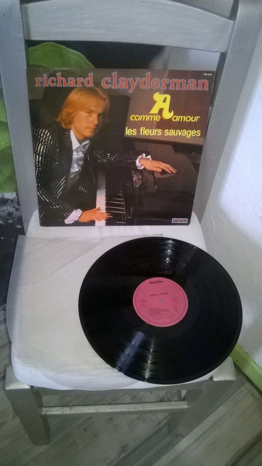 Vinyle Richard Clayderman
A Comme Amour - Les Fleurs Sauvag CD et vinyles