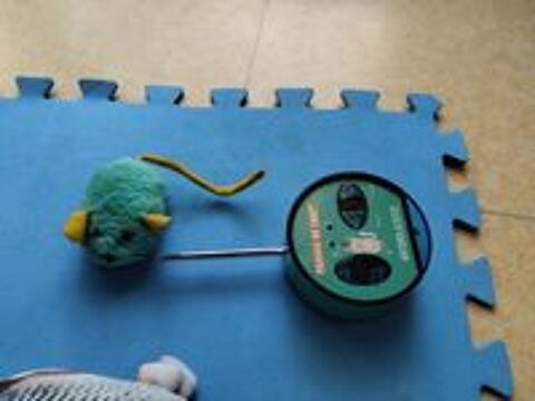   Divers jouets pour cha?t ou petit chien ? 