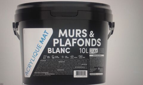 Blanc mat en 10 litres 
25 G�n�rargues (30)