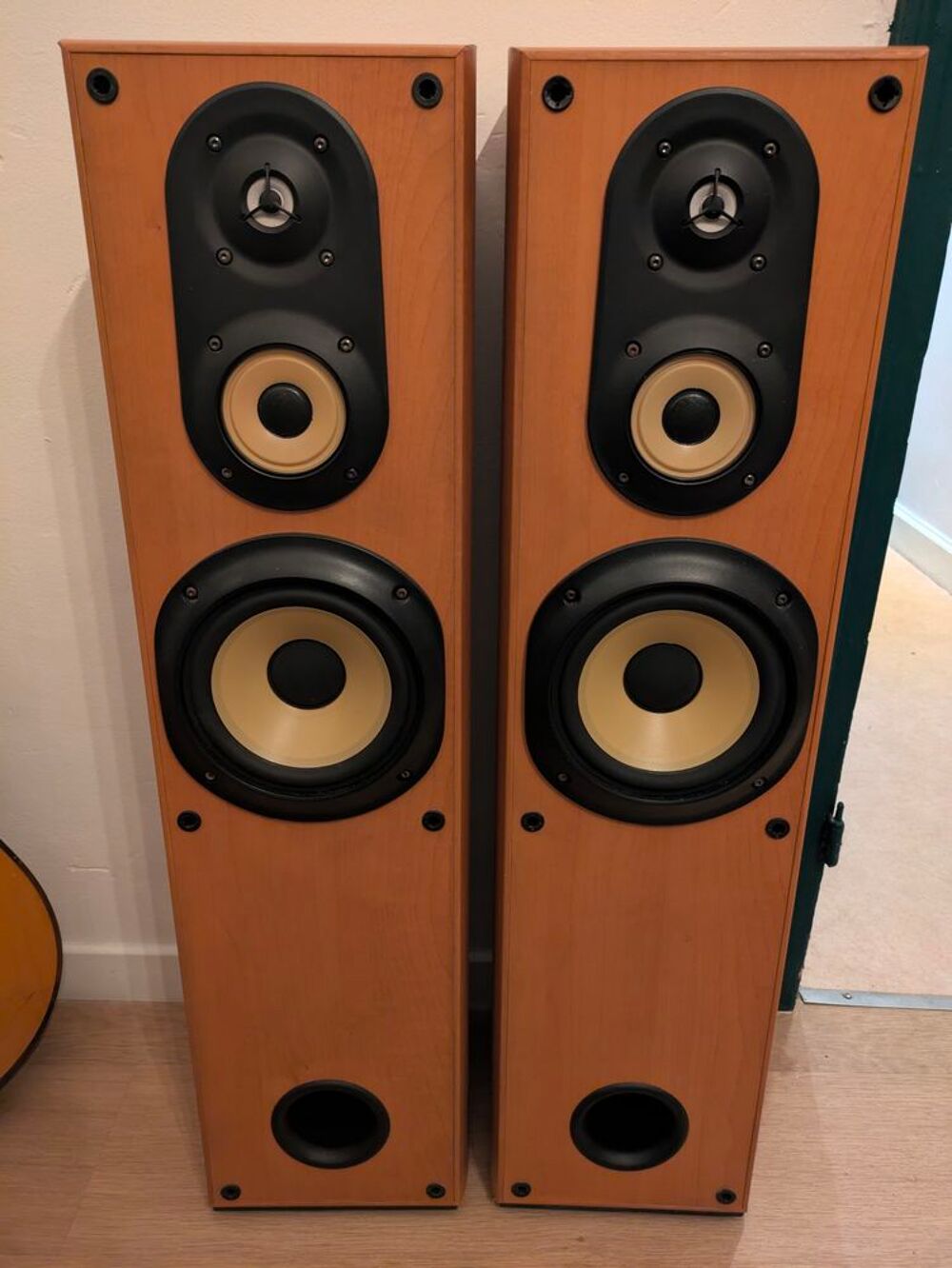 Paire d'enceintes Sony Ss-mf450h Audio et hifi