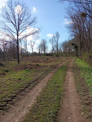  Terrain � vendre 4281 m�