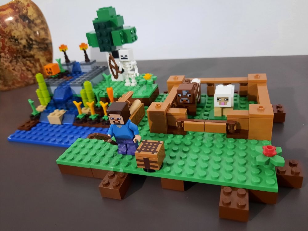 bo&icirc;te Minecraft de Lego 21114 compl&egrave;te Jeux / jouets
