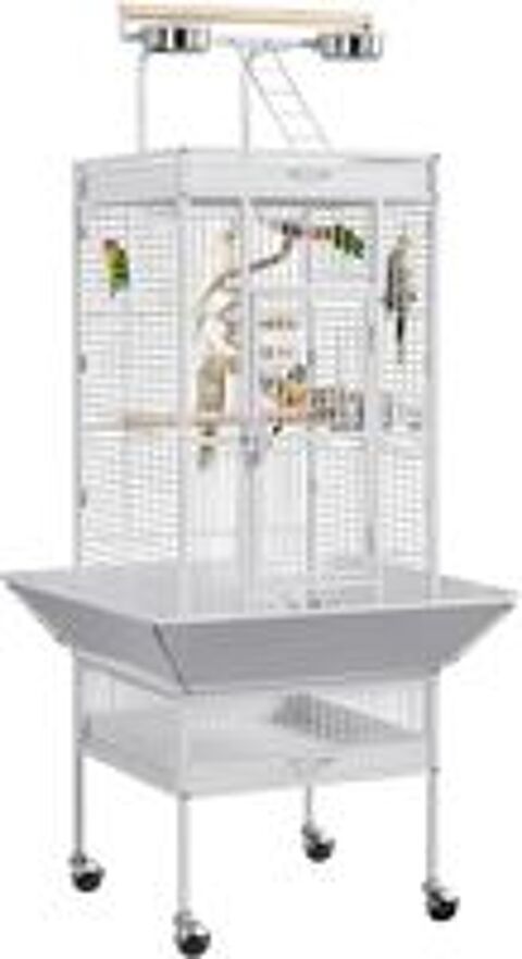   Grande Cage Oiseaux 