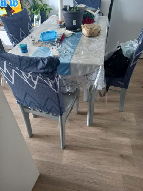 table et chaises 50 Saint-Jacques-de-la-Lande (35)