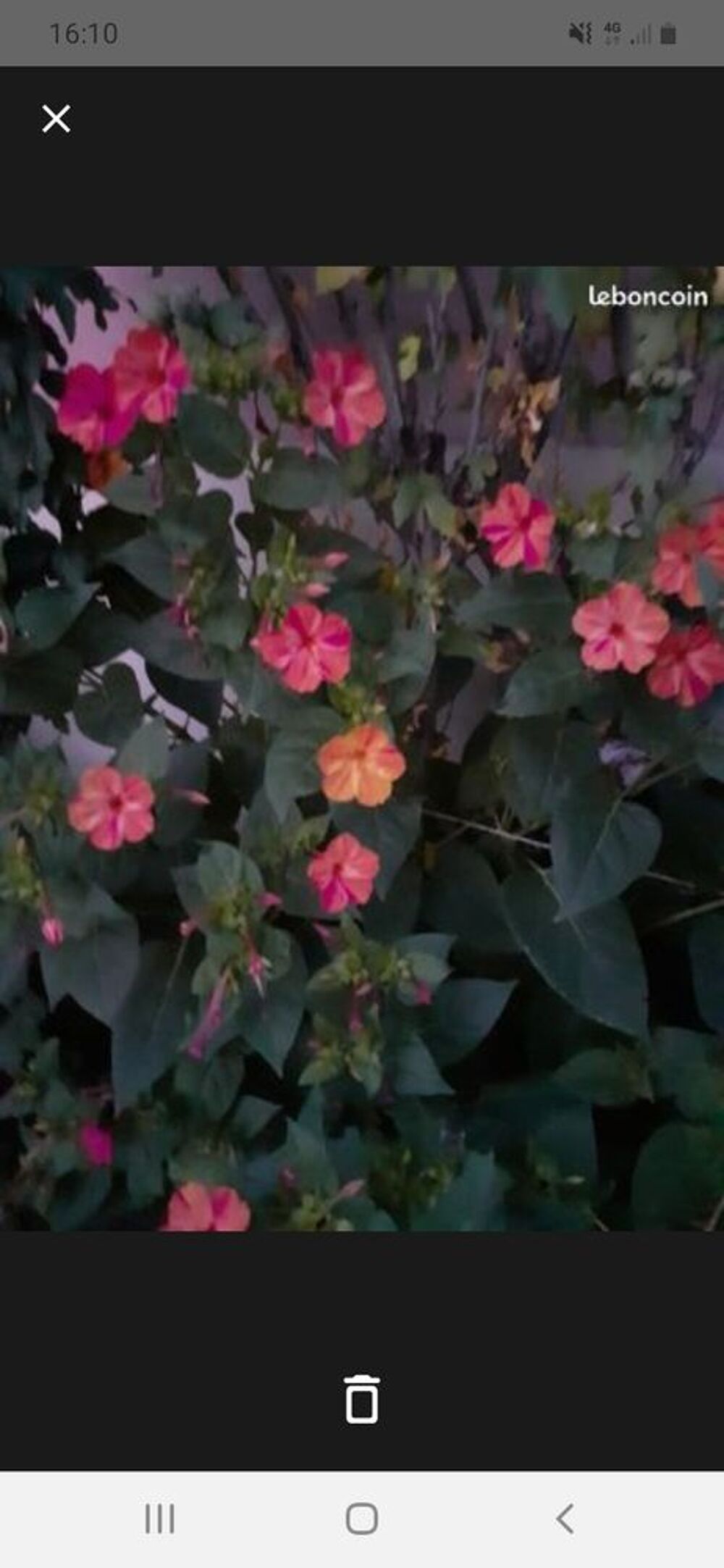 a vendre Jardin