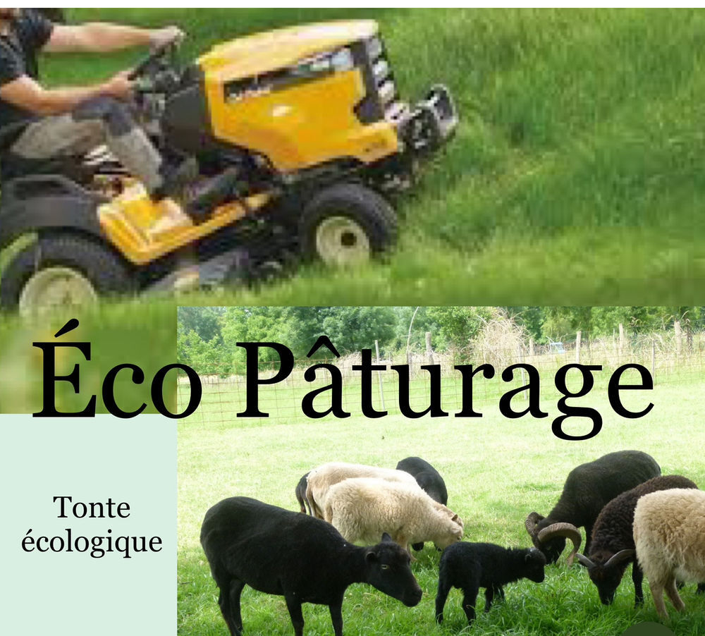 Marre de tondre &eacute;co p&acirc;turage ouessant Jardin
