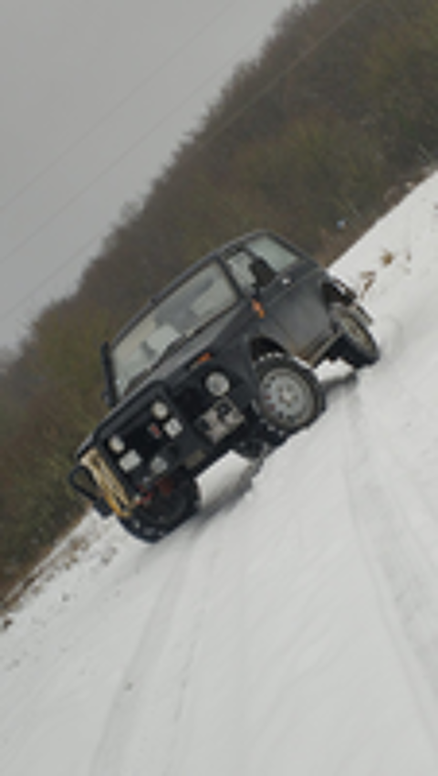 Niva 1.6 1986 occasion 57520 Grosbliederstroff