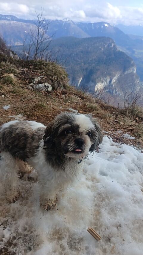 Isoka 0 73370 Le bourget-du-lac