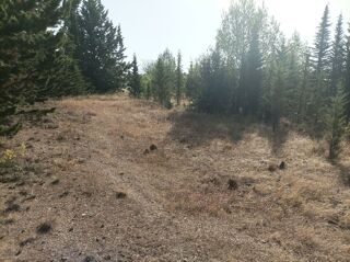  Terrain � vendre 7450 m�