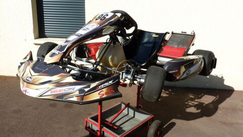 Karts Karts  occasion Picauville 50360