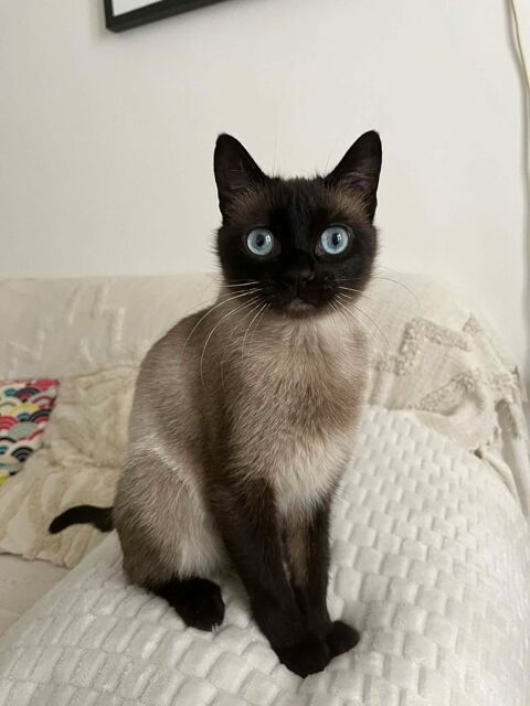 Jade petite beaut&eacute; tr&egrave;s affectueuse 180 75017 Paris