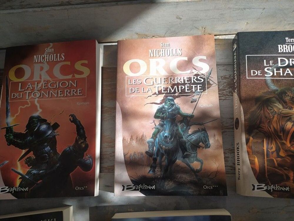 Lot Livres Romans Fantastiques Collection Bragelonne Livres et BD