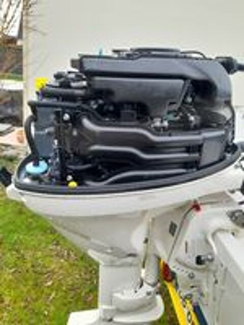 Dinghie - Runabout - Open 2010 occasion 22120 Yffiniac