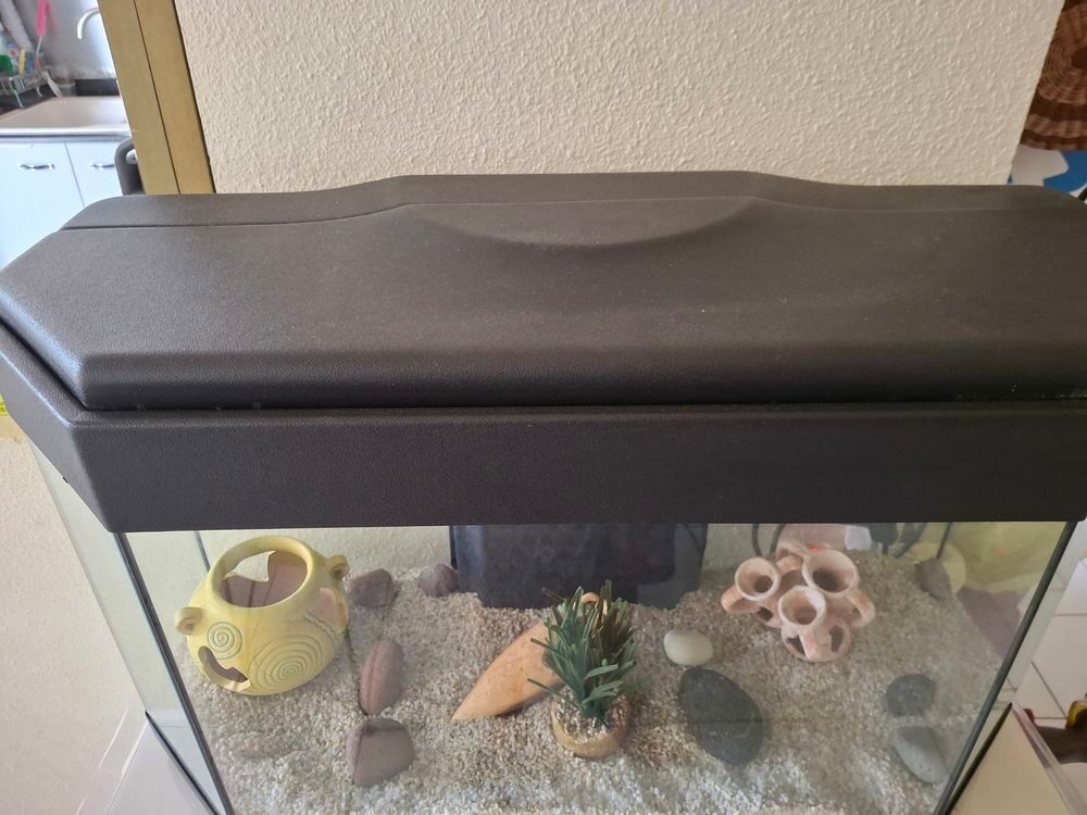 Aquarium et ses accessoires Décoration