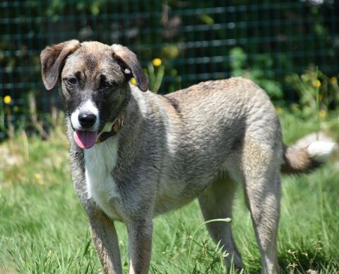 Jada 71500 Louhans