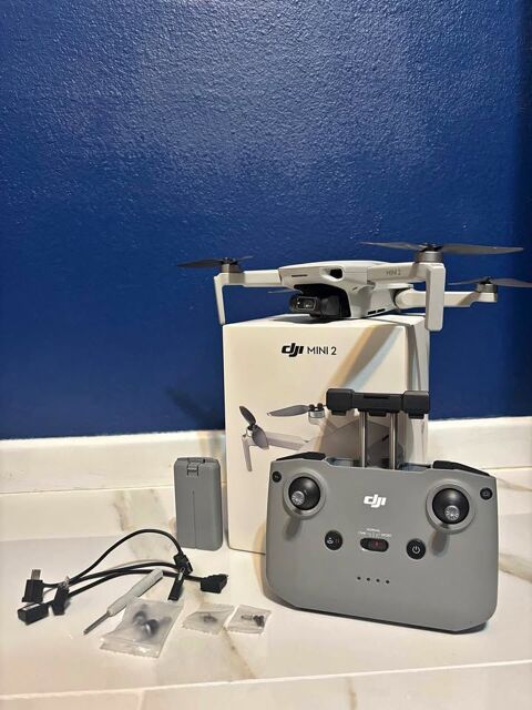 Dji Mini 2 190 Paris 2 (75)