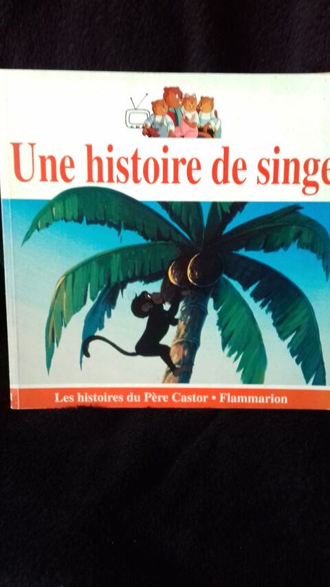 un livre d eveil 2 Brie-Comte-Robert (77)