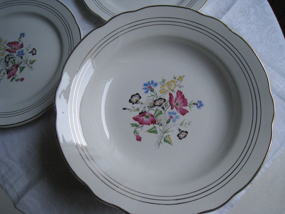  16 Assiettes v&eacute;ritable opaque Digoin Raspail Cuisine