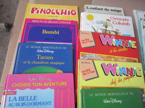 DIVERS LIVRES  D ENFANTS 2 Auray (56)