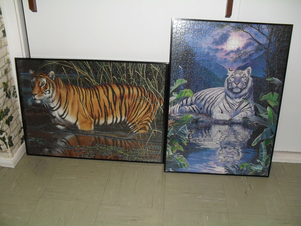 Puzzles tigres encadr&eacute;s sous verre 50x70 Décoration