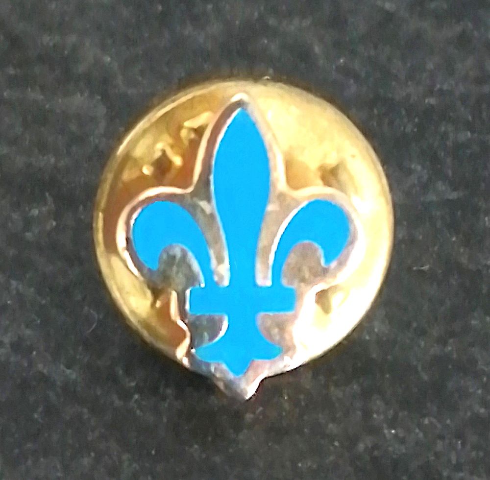 Pin's queue d'hermine bleue neuve 
