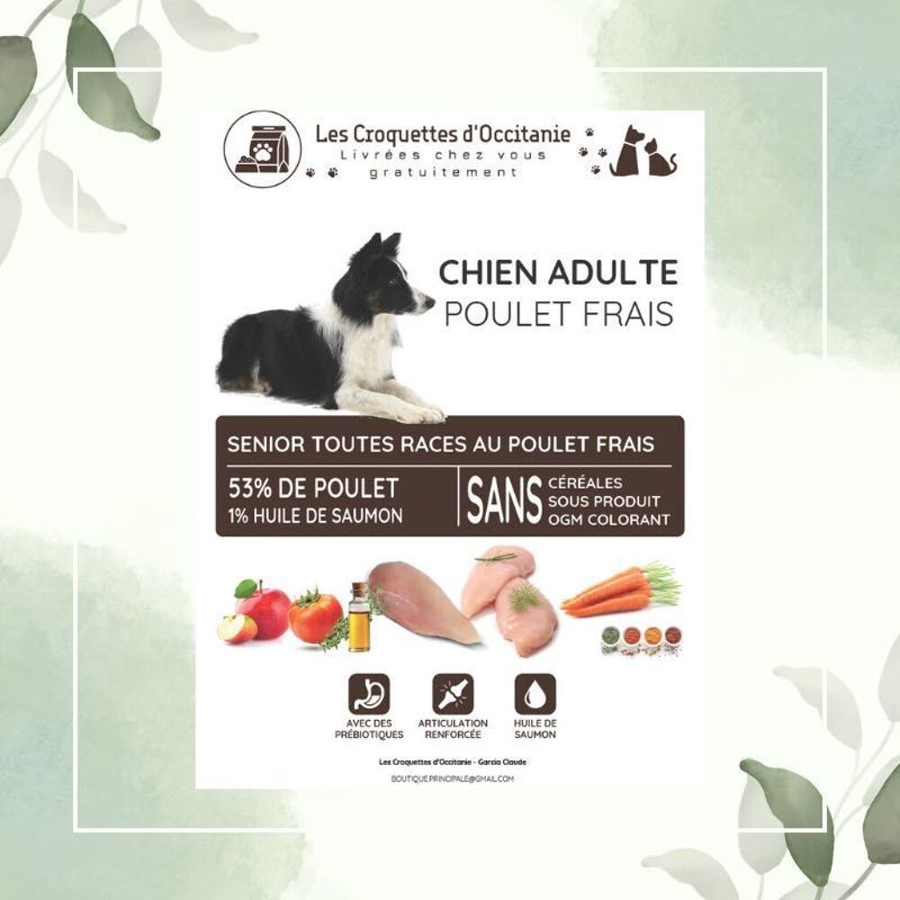  17 sacs de croquettes chien 12kg 