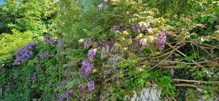  Maison � vendre 10 pi�ces 250 m�
