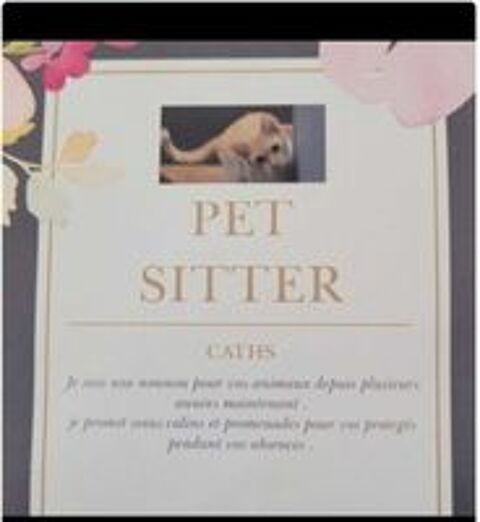   pet Sitter depuis plus de 7 ans 
Ce métier est une passion 
