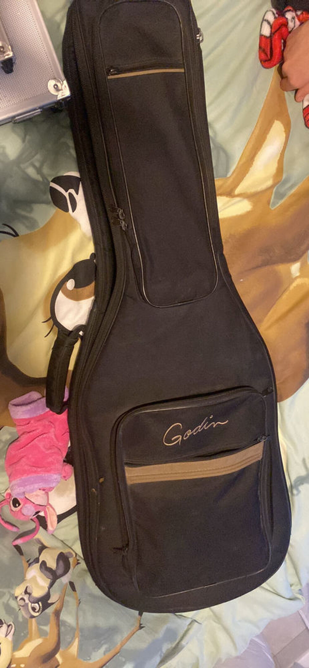 Godin multiac acs sa + Roland GR55 Instruments de musique