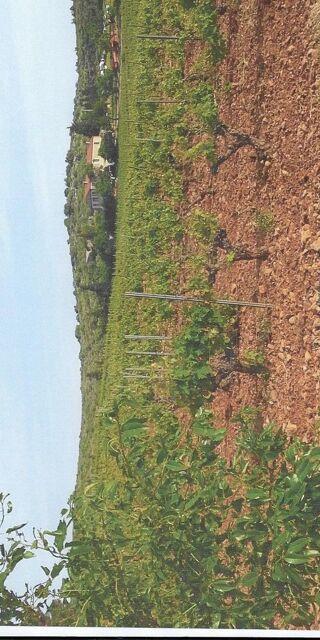  Colocation � louer 5 pi�ces 200 m�