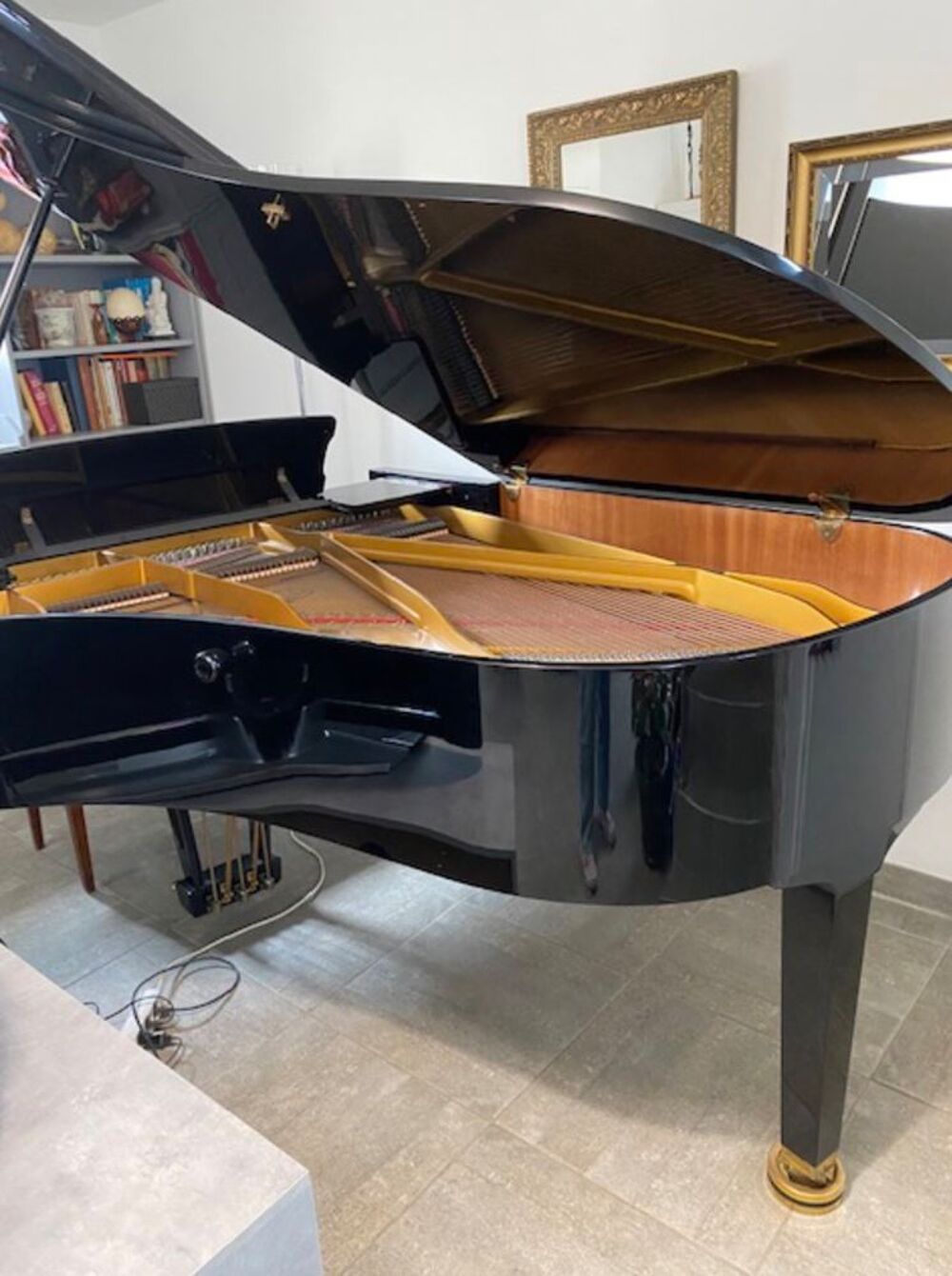 Piano &agrave; queue PETROF P194 Instruments de musique