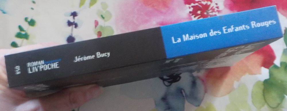 LA MAISON DES ENFANTS ROUGES de J&eacute;r&ocirc;me BUCY Ed. Liv'Poche Su Livres et BD