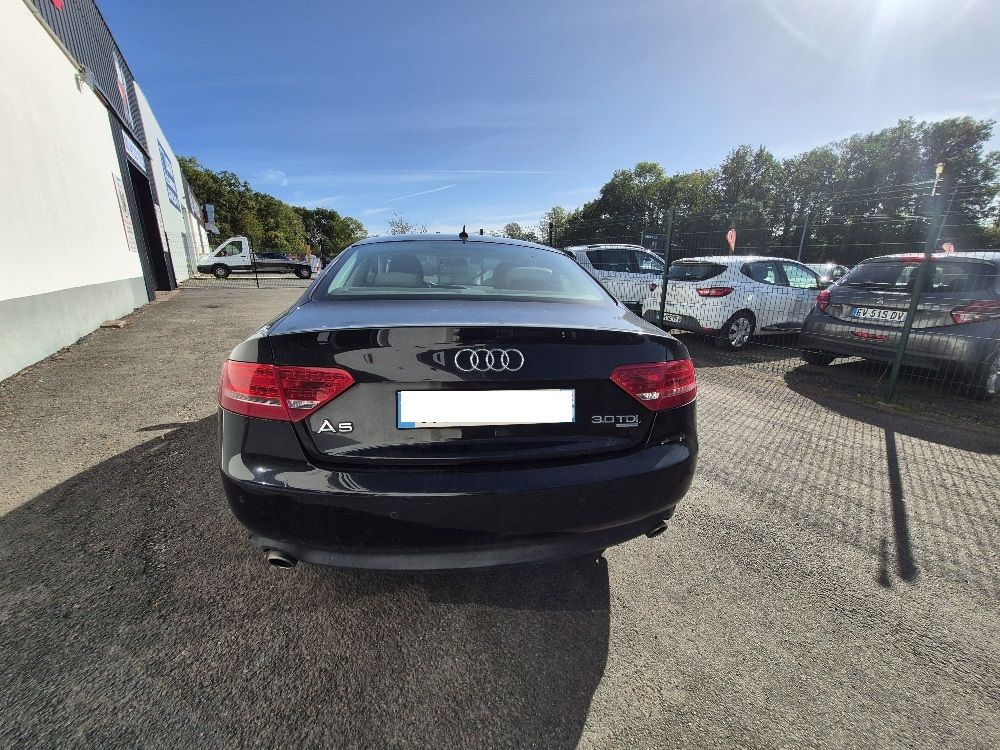 A5 3.0 V6 TDI 240 DPF Quattro Ambition Luxe S tronic 2010 occasion 49070 Saint-L&eacute;ger-de-Lini&egrave;res