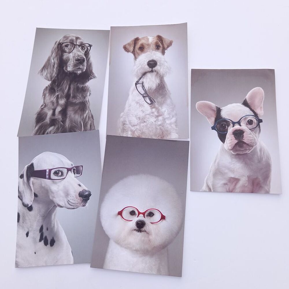 Lot de 5 cartes postales grand optical sur le th&egrave;me des chie 