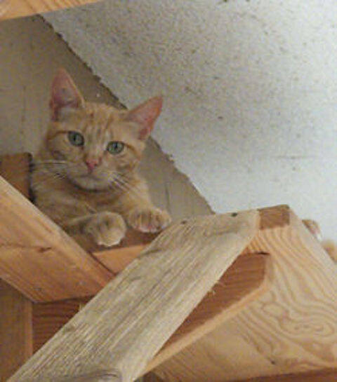 Magie 200 26700 Pierrelatte