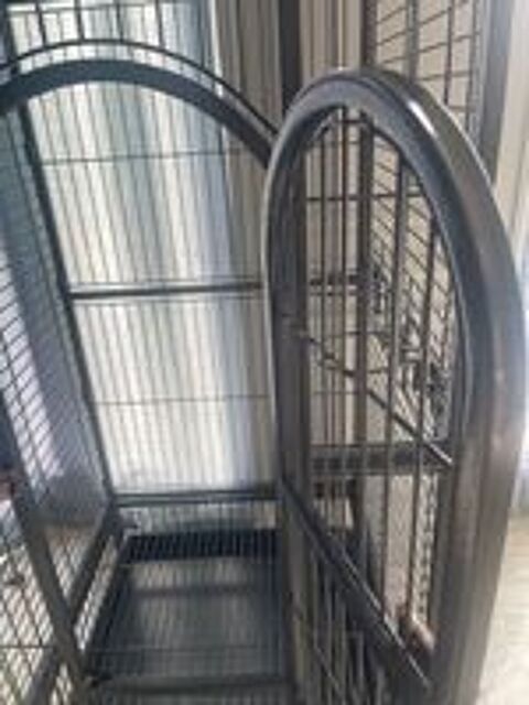   grande cage pour perroquets et grandes perruches 