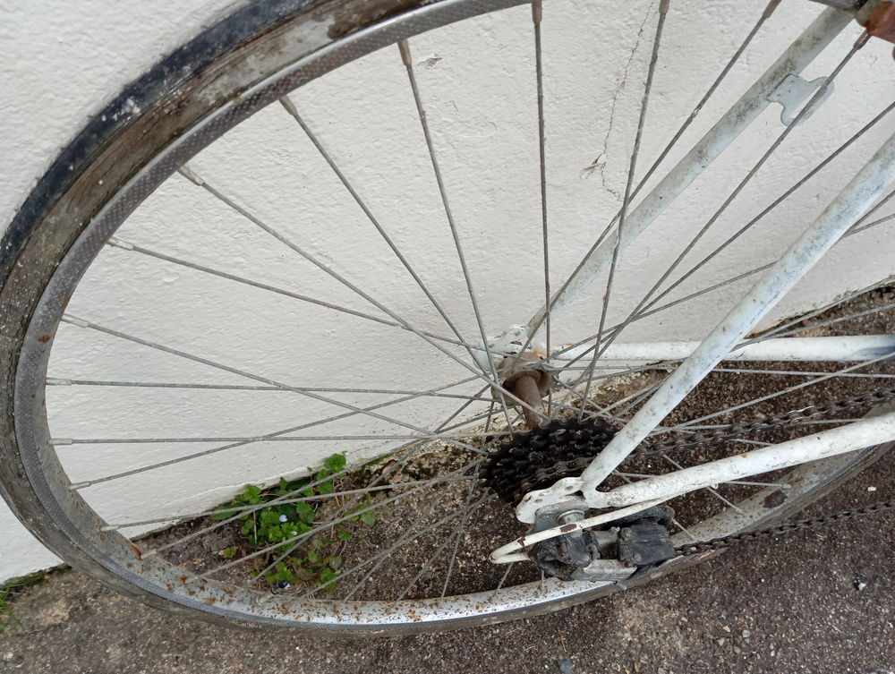 VELO DE ROUTE Vélos