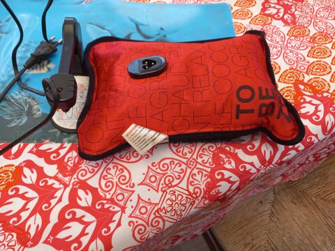 COUSSIN CHAUFFANT 4 Foug�res (35)