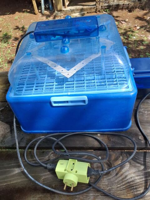 Incubateur 90 Baie-Mahault (97)