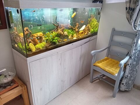 Magnifique aquarium 360 litres 13400 Aubagne