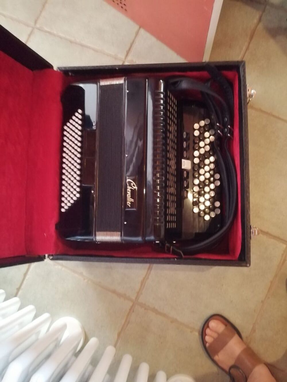 Accord&eacute;on d'&eacute;tude adultes Instruments de musique